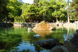 Алупкинский парк (г. Алупка)