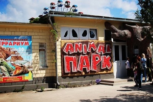 Террариум Анимал-парк (г. Севастополь)
